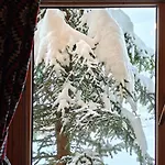 U Jacka Widok Na Tatry- Sauna, Grota & Teznia * Zab