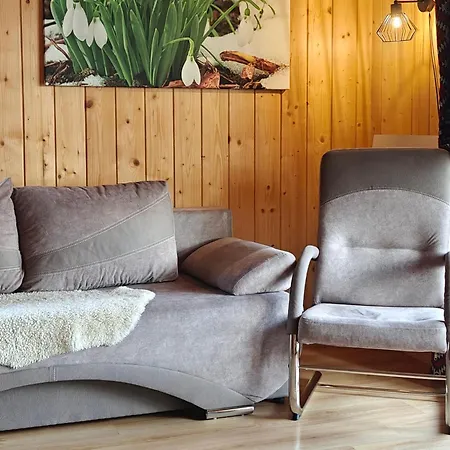 U Jacka Sauna&relax Z Widokiem Na Góry Domek alpejski